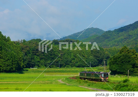 築堤を駆け抜ける特急あしずり（2700系） 130027319