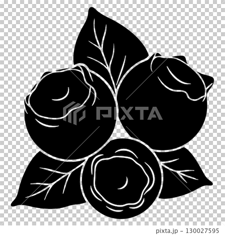 Black Line Blueberry Vector Illustration on White Background 130027595
