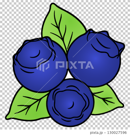Realistic Colorful Blueberry Vector Illustration on White Background 130027596