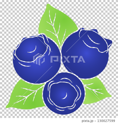 Modern Flat Style Blueberry Vector Illustration on White Background Modern Flat Style Blueberry Vector Illustration on White Background 130027599
