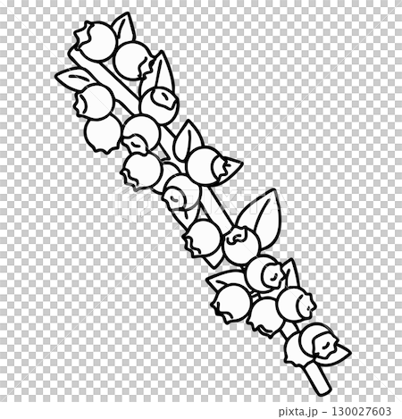 Educational Blueberry Bunch Vector Illustration Coloring Page Educational Blueberry Bunch Vector Illustration Coloring Page 130027603