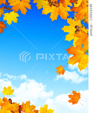 秋の訪れを感じる紅葉とどんぐりが賑やかな秋晴れの青空のフレーム 130028190