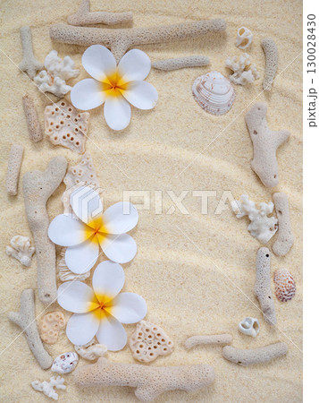 Tropical plumeria flowers with coral and seashells on sand Tropical plumeria flowers with coral and seashells on sand 130028430