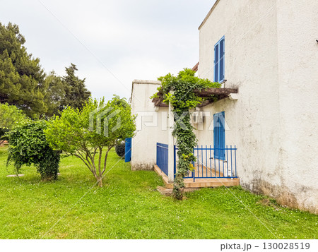 White building with blue shutters and balcony covered by green vine in garden. Architecture, housing, summer lifestyle and natural environment of residential urban culture. 130028519