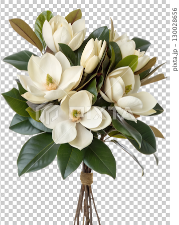 Bouquet of elegant magnolia flowers isolated on transparent background 130028656