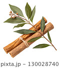 Sandalwood branches with aromatic leaves isolated on transparent background 130028740