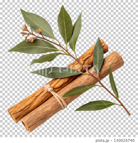 Sandalwood branches with aromatic leaves isolated on transparent background 130028740