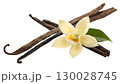 Bourbon vanilla pod and vanilla flower on transparent background 130028745