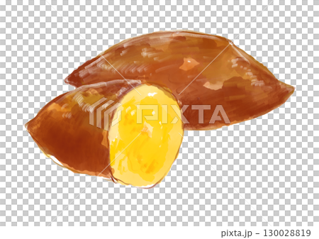 焼きたてで美味しそうな焼き芋の手描き水彩イラスト 130028819