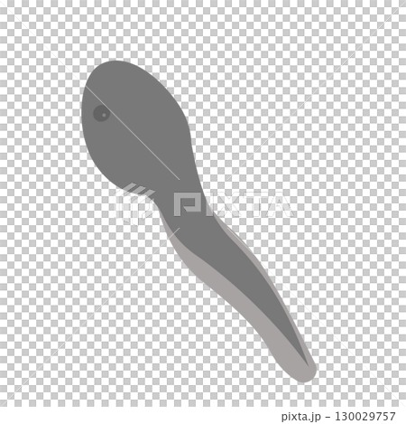 オタマジャクシのイラスト 130029757