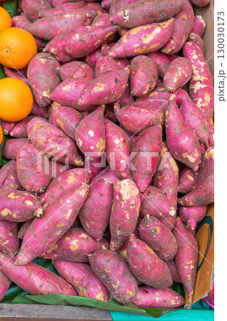 Japanese Sweet Potato Japanese Sweet Potato 130030173