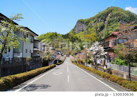 甲斐国「岩殿山城」の眺望　山梨県大月市　 130030636