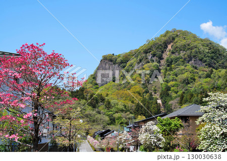 甲斐国「岩殿山城」の眺望　山梨県大月市　 130030638