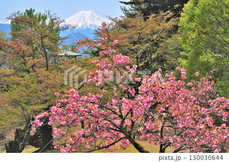 甲斐国「岩殿山城」の眺望 山梨県大月市 甲斐国「岩殿山城」の眺望 山梨県大月市 130030644