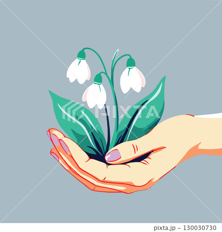 Vsai woman holding delicate snowdrop flowers in open palm Vsai woman holding delicate snowdrop flowers in open palm 130030730