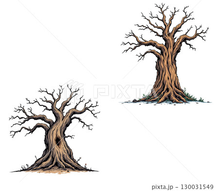 Vsai two bare trees standing strong, showing resilience in a barren landscape 130031549