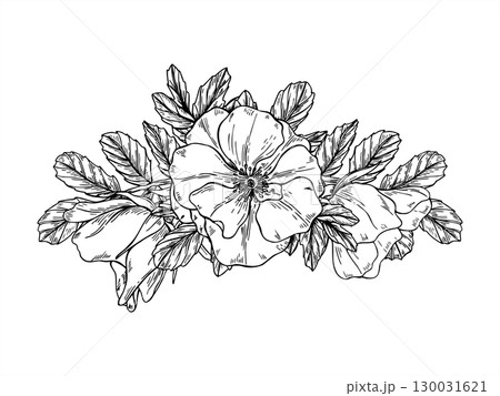 Monochrome blooming flowers with leaves garland vector isolated illustration. Wild rosehip bouquet etching drawing. Floral border for herbal packaging, romantic wedding invitation, greeting card 130031621