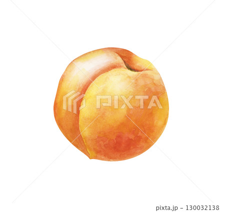 Watercolor juicy peach, hand-drawn. Watercolor illustration isolated on a white background. A botanical drawing of a ripe fruit. For the design of fruit lines and healthy food. Watercolor juicy peach, hand-drawn. Watercolor illustration isolated on a white background. A botanical drawing of a ripe fruit. For the design of fruit lines and healthy food. 130032138