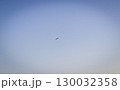 Shot of the seagull in the blue sky 130032358