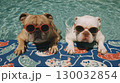 Bulldogs in sunglasses chilling by the pool on a colorful summer day 130032854