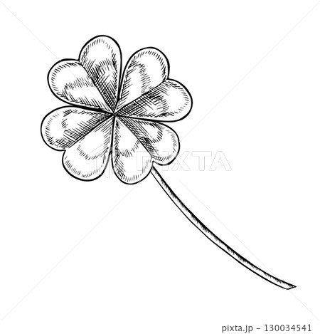 St. Patrick s Day. Lucky four-leaf clover, hand-drawn black and white vector illustration. Concept of luck and happiness. Element of luck theme design. 130034541