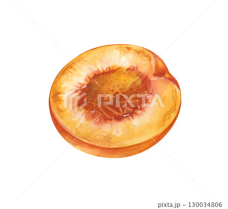 Half a peach, hand-drawn. Watercolor illustration isolated on a white background. A botanical drawing of a piece of ripe fruit. For the design of fruit lines and healthy food Half a peach, hand-drawn. Watercolor illustration isolated on a white background. A botanical drawing of a piece of ripe fruit. For the design of fruit lines and healthy food 130034806
