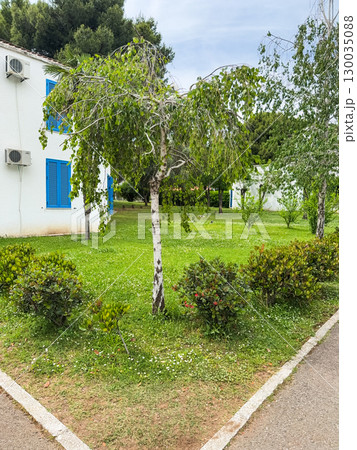 White building with blue shutters surrounded by green grass, trees and bushes. Architecture, urban housing, residential lifestyle and natural summer environment with balance. 130035088