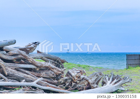 海と流木2 130035158