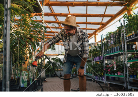 Florist caring for plants, watering them with garden hose in garden centre. 130035608
