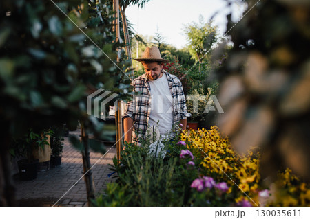 Garden store employee taking care of plants. Garden store employee taking care of plants. 130035611