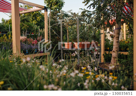 Outdoor garden center with potted flowers and plants 130035651