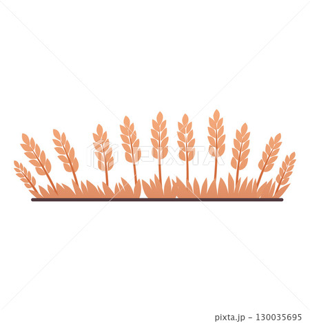 Wheat fields, cartoon oat, barley, rye, wheat ears stalks, vector flat cereal harvest, agriculture, organic farming 130035695