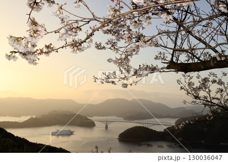 桜満開の龍観山から見た風景 桜満開の龍観山から見た風景 130036047