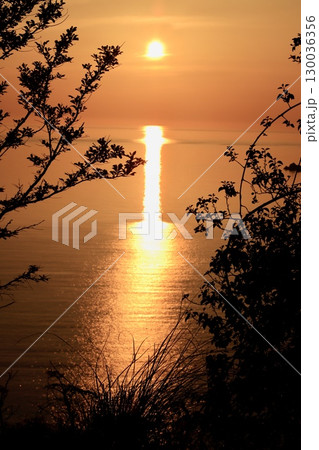 山腹より眺めた夕日 山腹より眺めた夕日 130036356