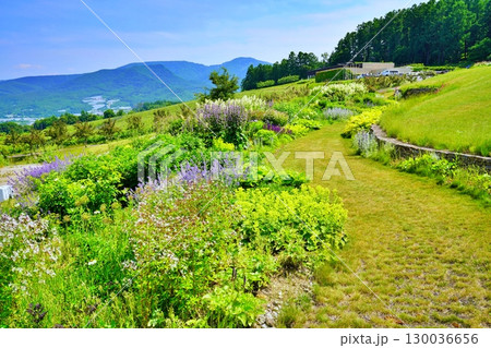 ニキヒルズワイナリー(NIKI Hills Winery)の風景 130036656