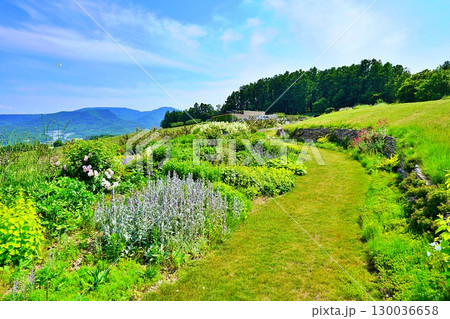 ニキヒルズワイナリー(NIKI Hills Winery)の風景 130036658