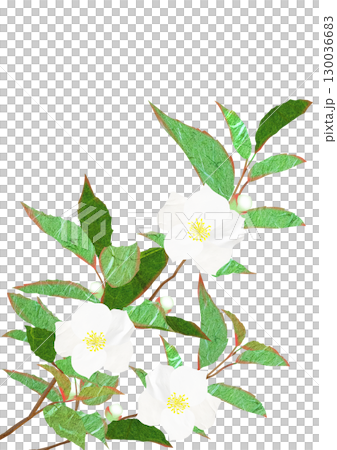 莎拉植物的拼貼畫和剪紙插圖 130036683