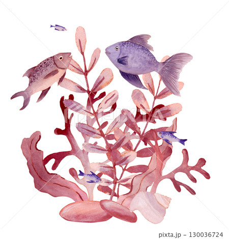 Watercolor composition shadow of pink fantasy branches of seaweed and different dish fish  130036724