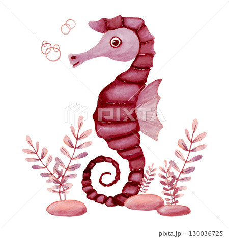 Watercolor composition shadow of pink fantasy branches of seaweed and burgundy seahorse Watercolor composition shadow of pink fantasy branches of seaweed and burgundy seahorse 130036725