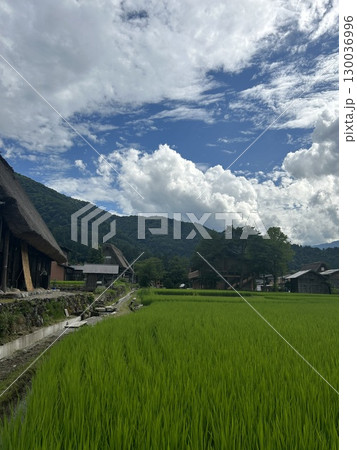 岐阜県白川郷 岐阜県白川郷 130036996