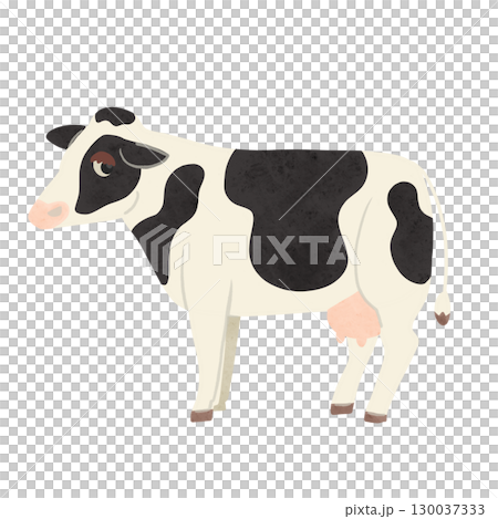 Black and white dairy cow watercolor hand-drawn illustration 130037333