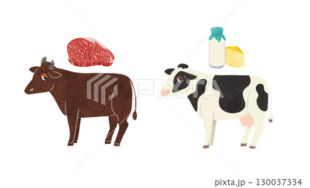 肉牛と乳牛・霜降り肉と乳製品 水彩風手描きイラスト 肉牛と乳牛・霜降り肉と乳製品 水彩風手描きイラスト 130037334