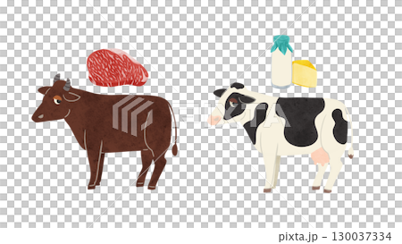 Beef and dairy cattle, marbled meat and dairy products, watercolor hand-drawn illustration 130037334