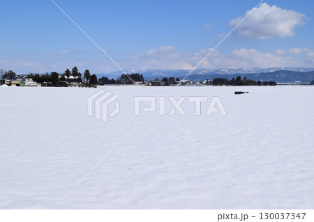 雪国の田園風景 山形県庄内 雪国の田園風景 山形県庄内 130037347