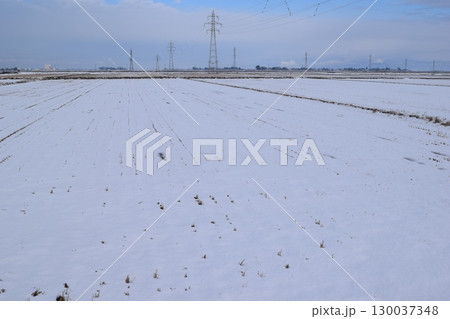 雪国の田園風景 山形県庄内 130037348
