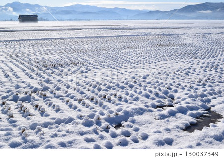 雪国の田園風景 山形県庄内 130037349