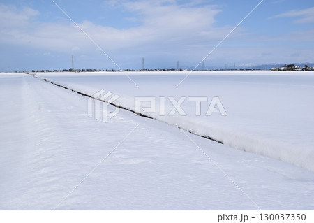 雪国の田園風景 山形県庄内 雪国の田園風景 山形県庄内 130037350