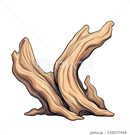 Large piece of driftwood showing weathering and erosion Large piece of driftwood showing weathering and erosion 130037446