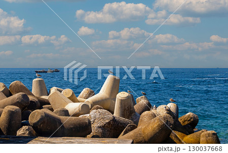 Concrete tetrapods on sea port Concrete tetrapods on sea port 130037668