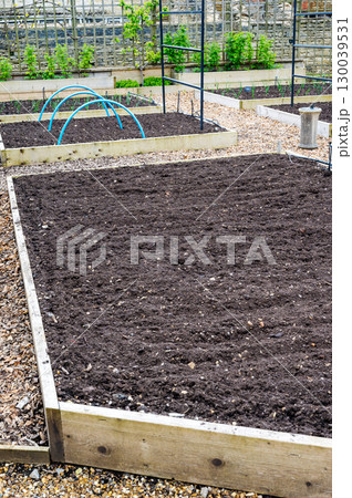 Cityscape during heavy Snowfall - Streets, Cars and Street Trees covered in Snow; Copy Space 130039531